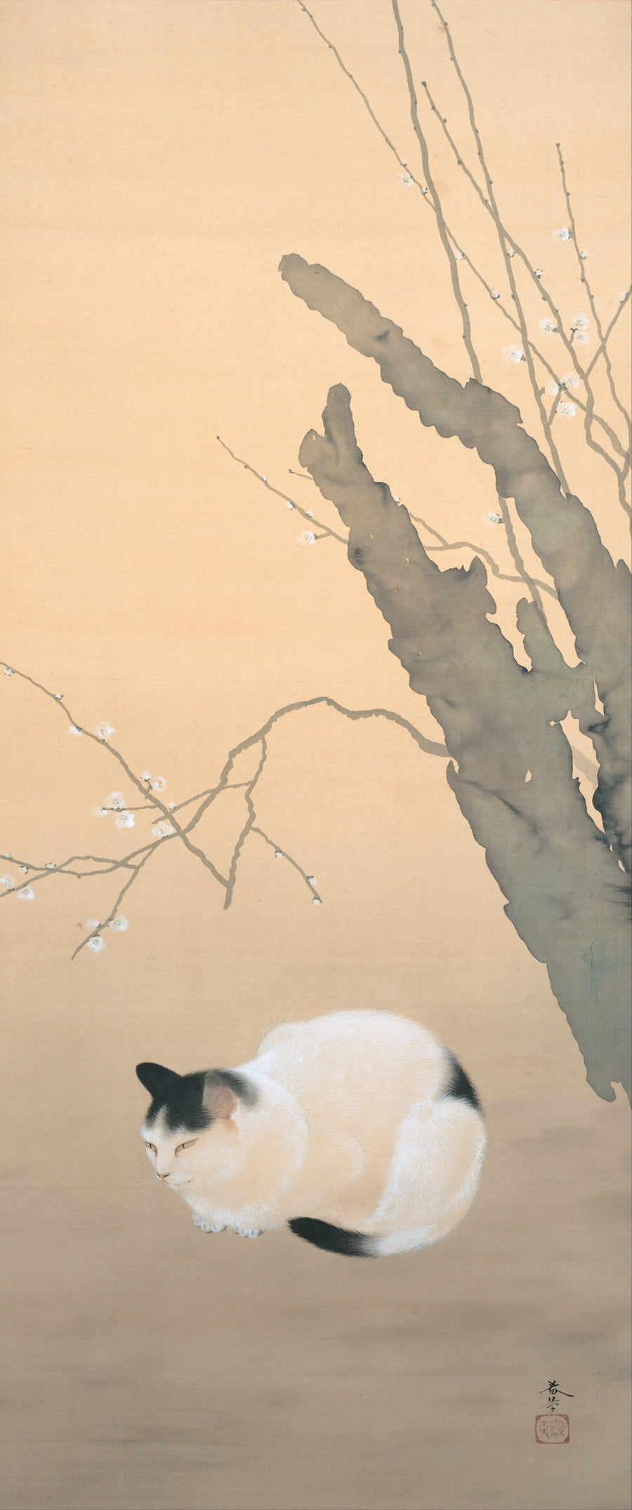 Chat et fleurs de prunier - Hishida Shunsō