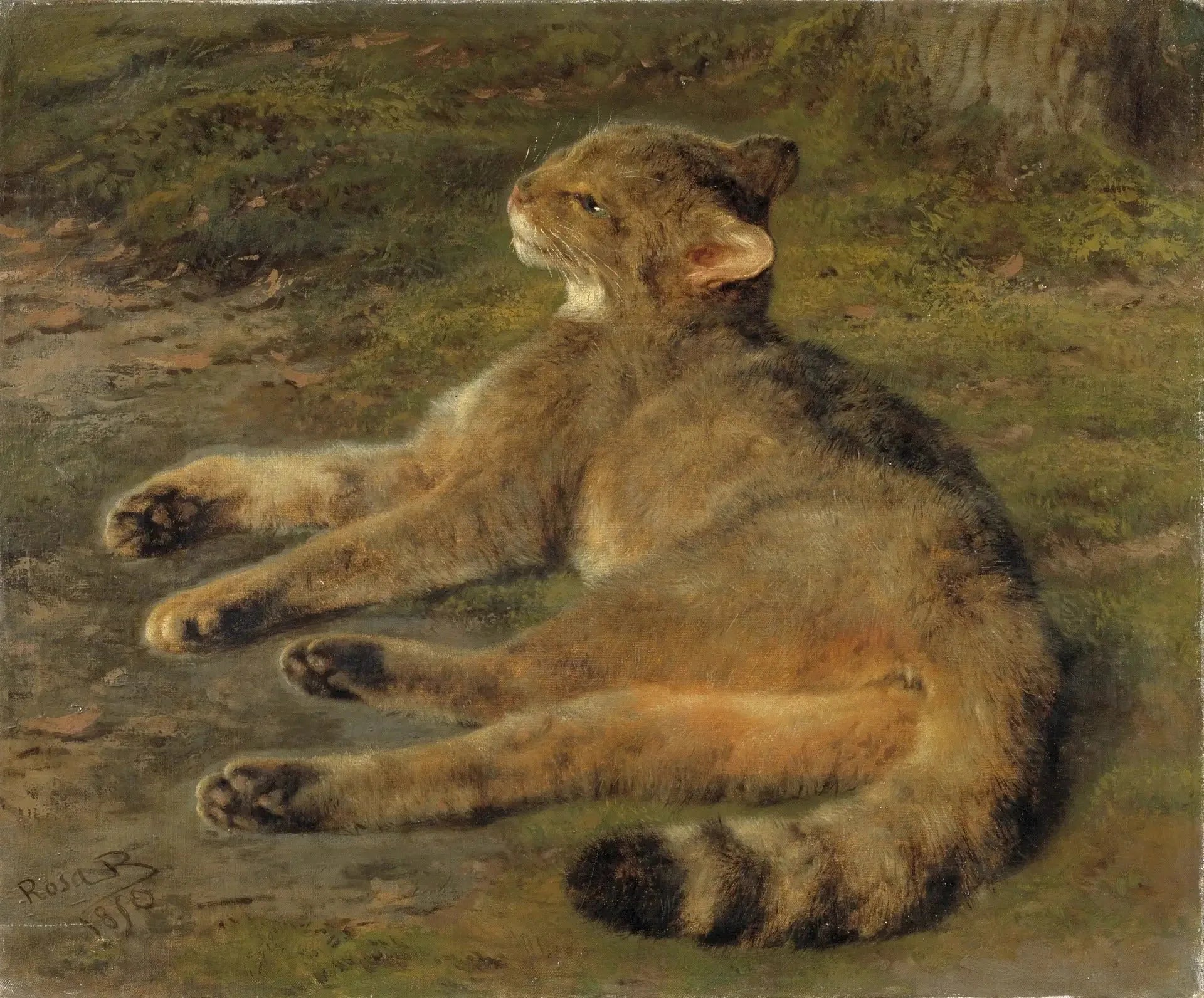 Chat sauvage - Rosa Bonheur image 1 tableau peint à l’huile sur toile