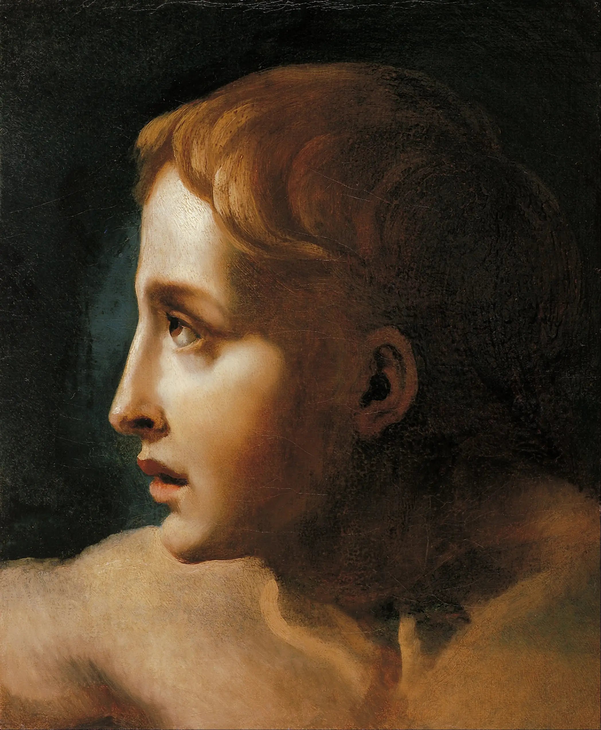 Chef d'un jeune - Théodore Géricault image 1 copie peinte à la main à l’huile