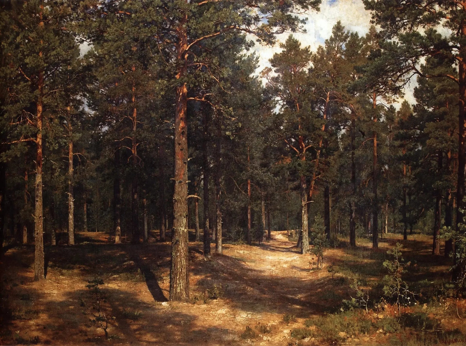 Chemin parmi les pins - Ivan Chichkine image 1 reproduction réalisée par Alpha Reproduction