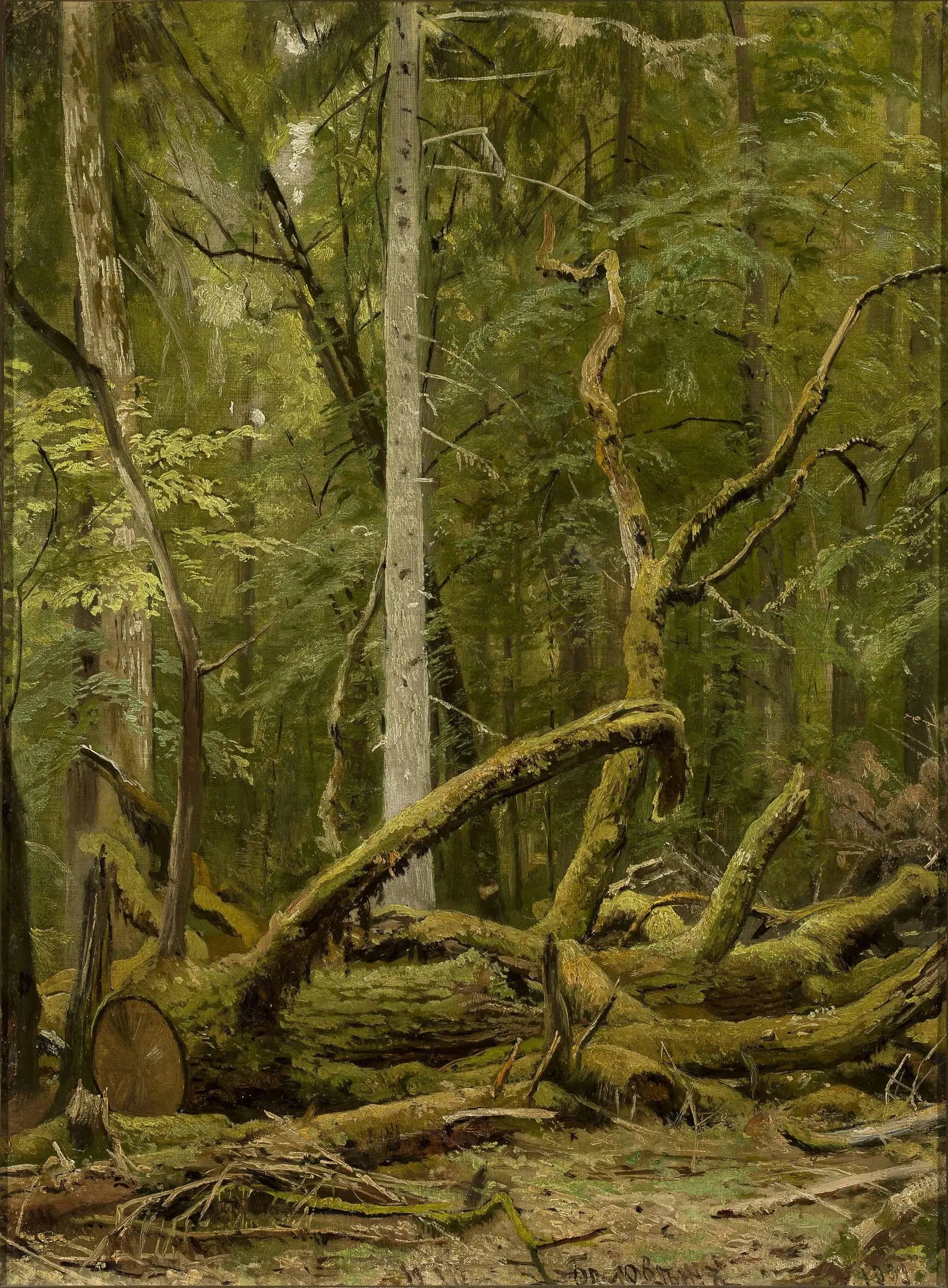 Chêne scié - Ivan Chichkine image 1 reproduction d’œuvre d’art à l’huile