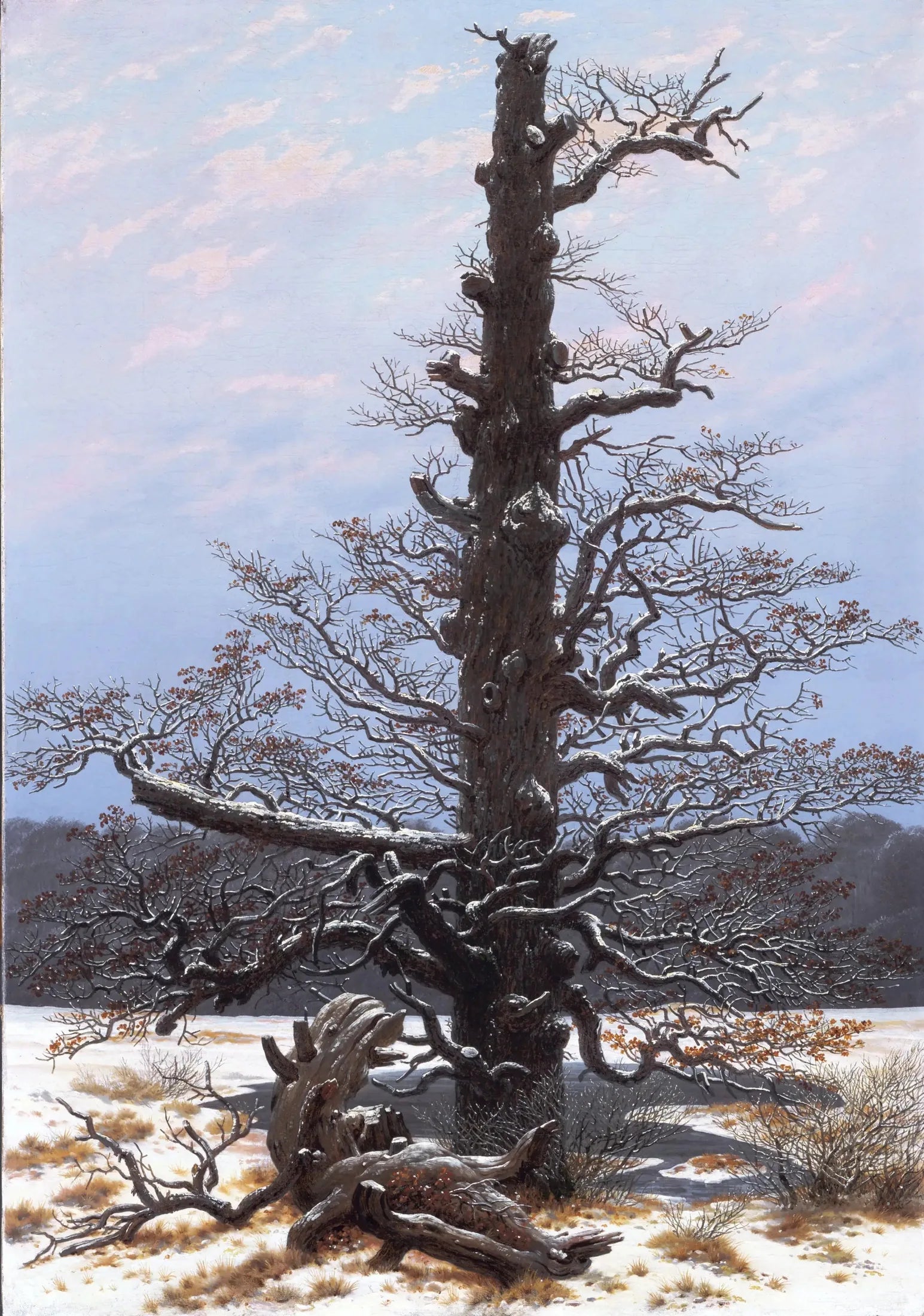 Chêne sous la neige - Caspar David Friedrich image 1 copie peinte à la main à l’huile