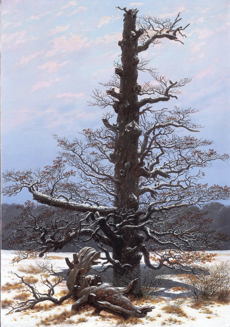 Chêne sous la neige - Caspar David Friedrich
