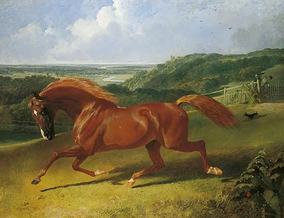 Cheval au galop dans un champ - John Frederick Herring, Sr. image 1 reproduction d’œuvre d’art à l’huile