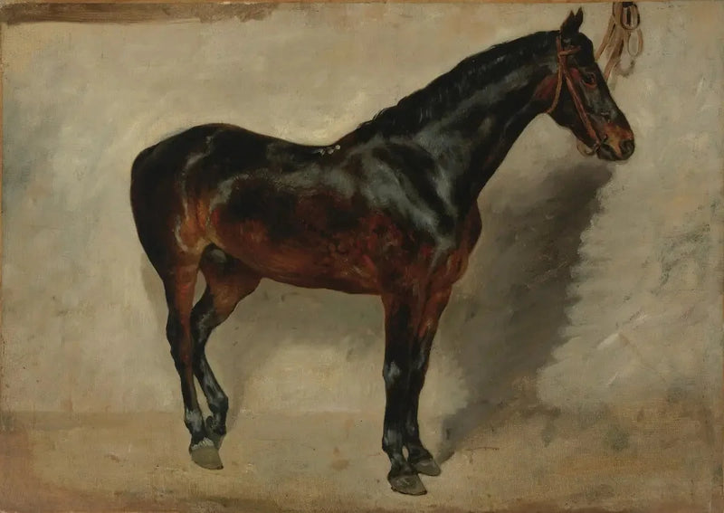 Cheval bai-brun à l'attache - Eugène Delacroix
