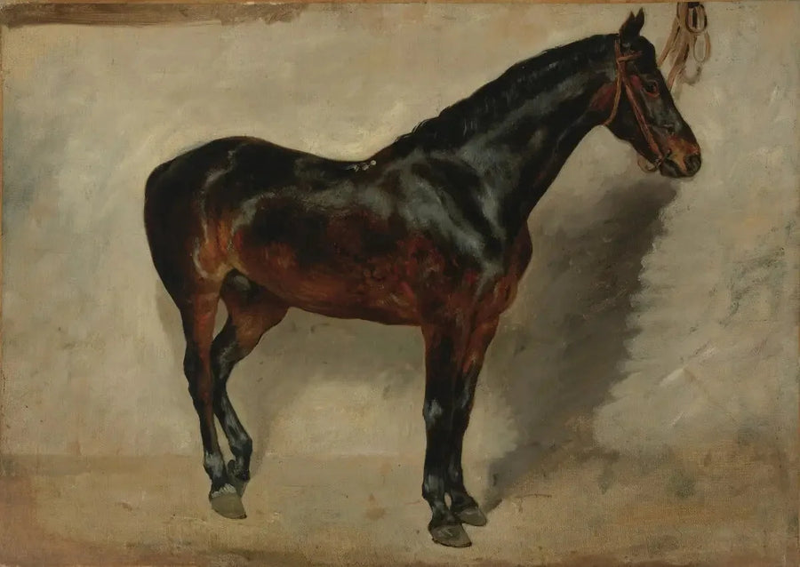 Cheval bai-brun à l'attache - Eugène Delacroix