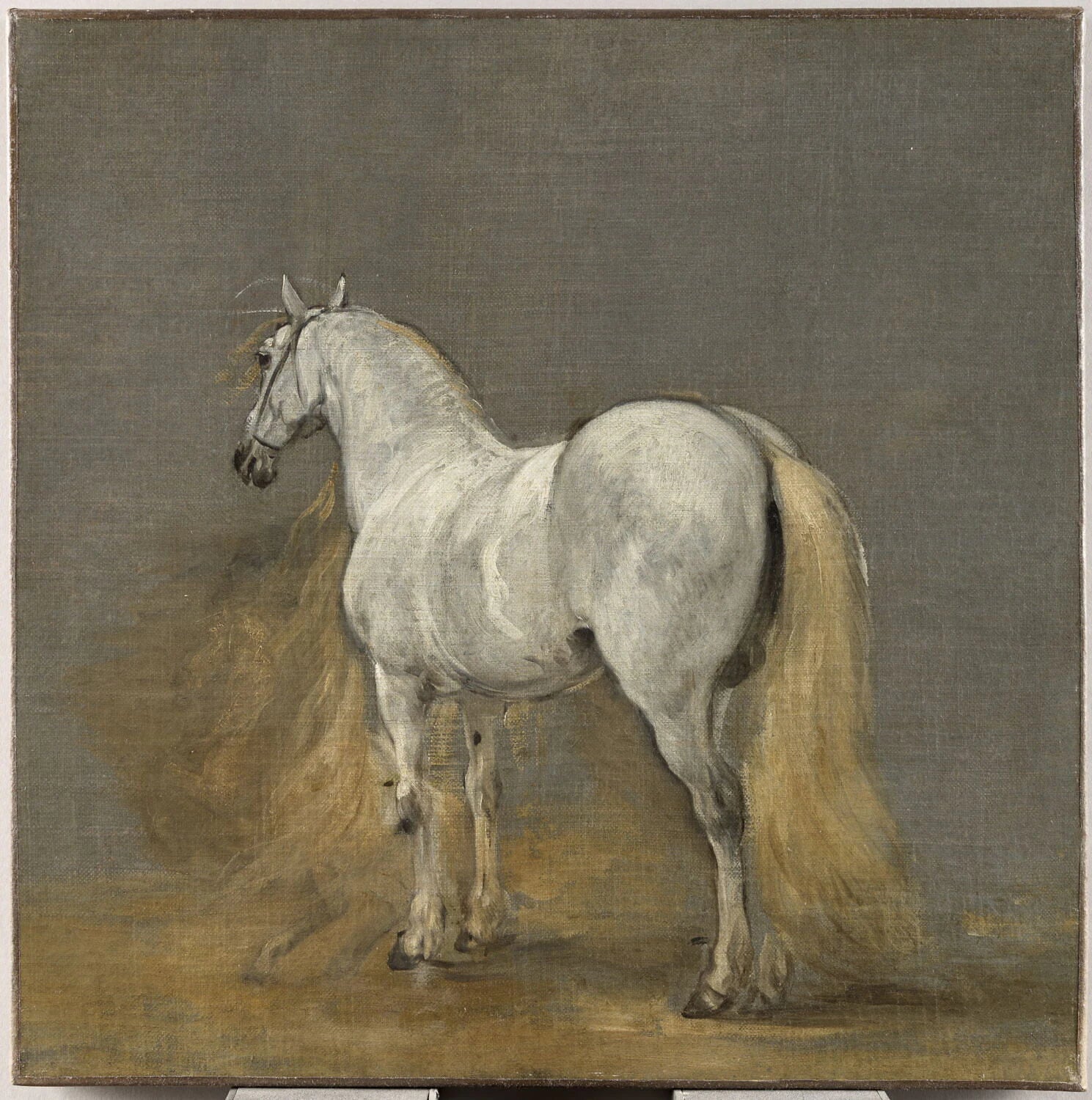 Cheval blanc - Adam Frans Van der Meulen