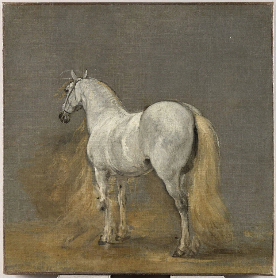 Cheval blanc - Adam Frans Van der Meulen