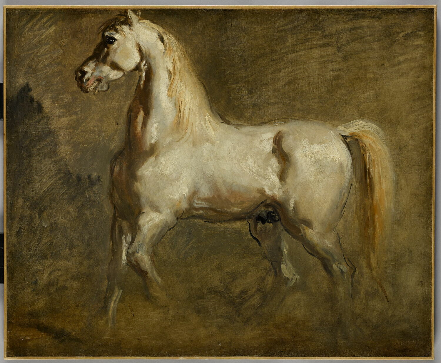 Cheval blanc de profil à gauche - Théodore Chassériau image 1 tableau peint à l’huile sur toile