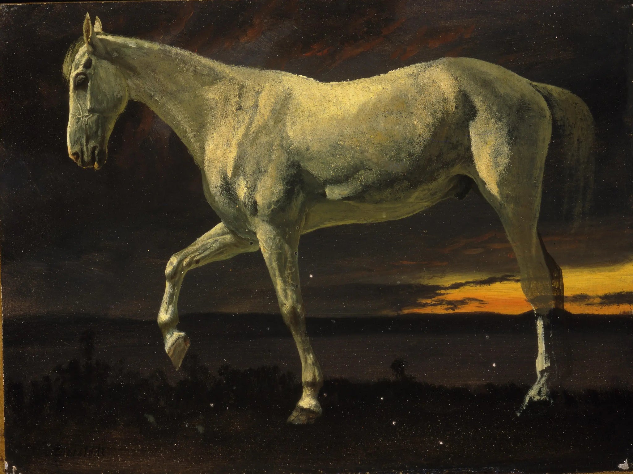 Cheval blanc et coucher de soleil - Albert Bierstadt image 1 copie de tableau peinte à la main