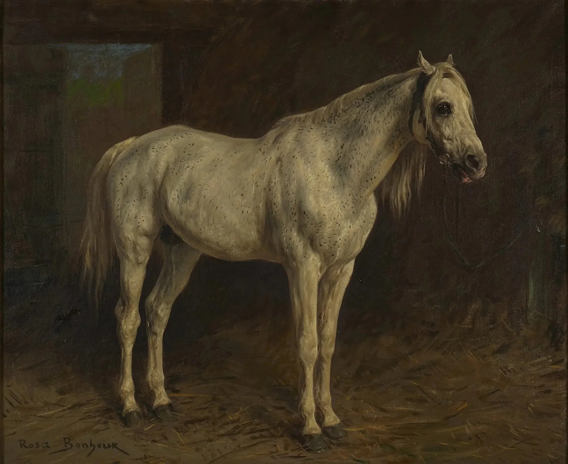 Cheval Blanc - Rosa Bonheur image 1 reproduction artisanale de tableau