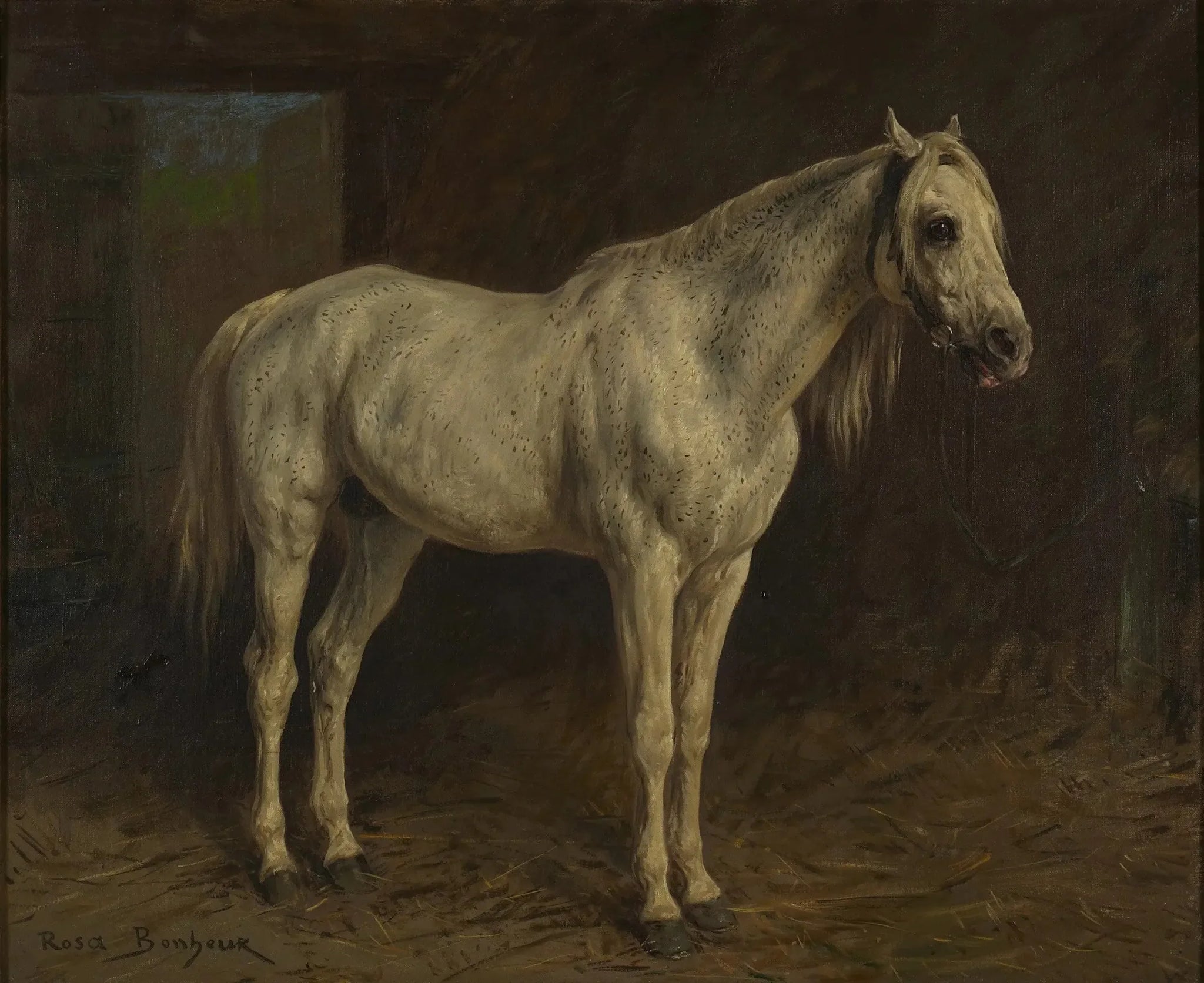 Cheval Blanc - Rosa Bonheur image 1 reproduction artisanale de tableau