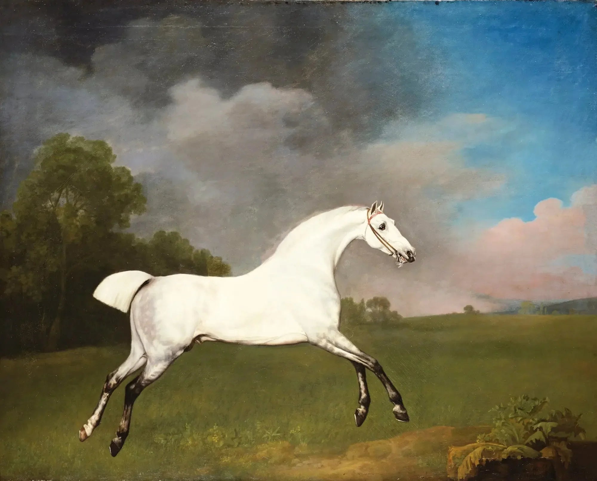 Cheval gris galopant dans un champ - George Stubbs image 1 tableau peint à l’huile sur toile