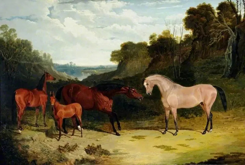 Chevaux dans un paysage - John Frederick Herring, Sr. image 1 reproduction réalisée par Alpha Reproduction