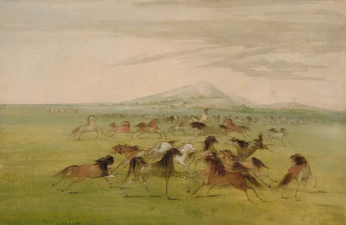 Chevaux sauvages en jeu - George Catlin image 1 reproduction de peinture à l’huile