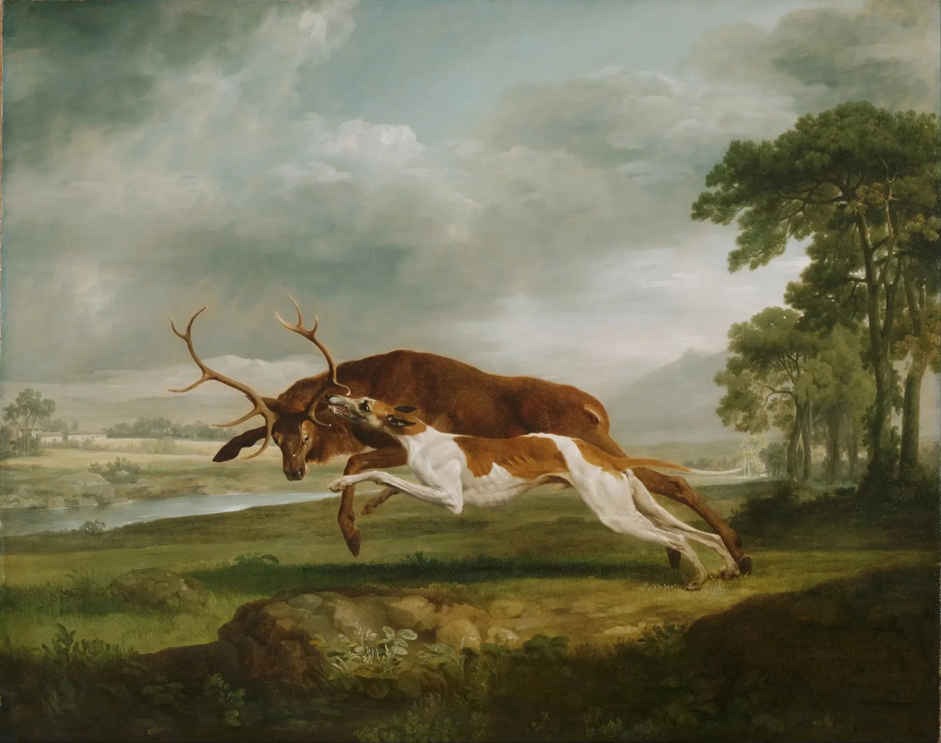 Chien courant à la poursuite d'un cerf - George Stubbs image 1 reproduction artisanale de tableau