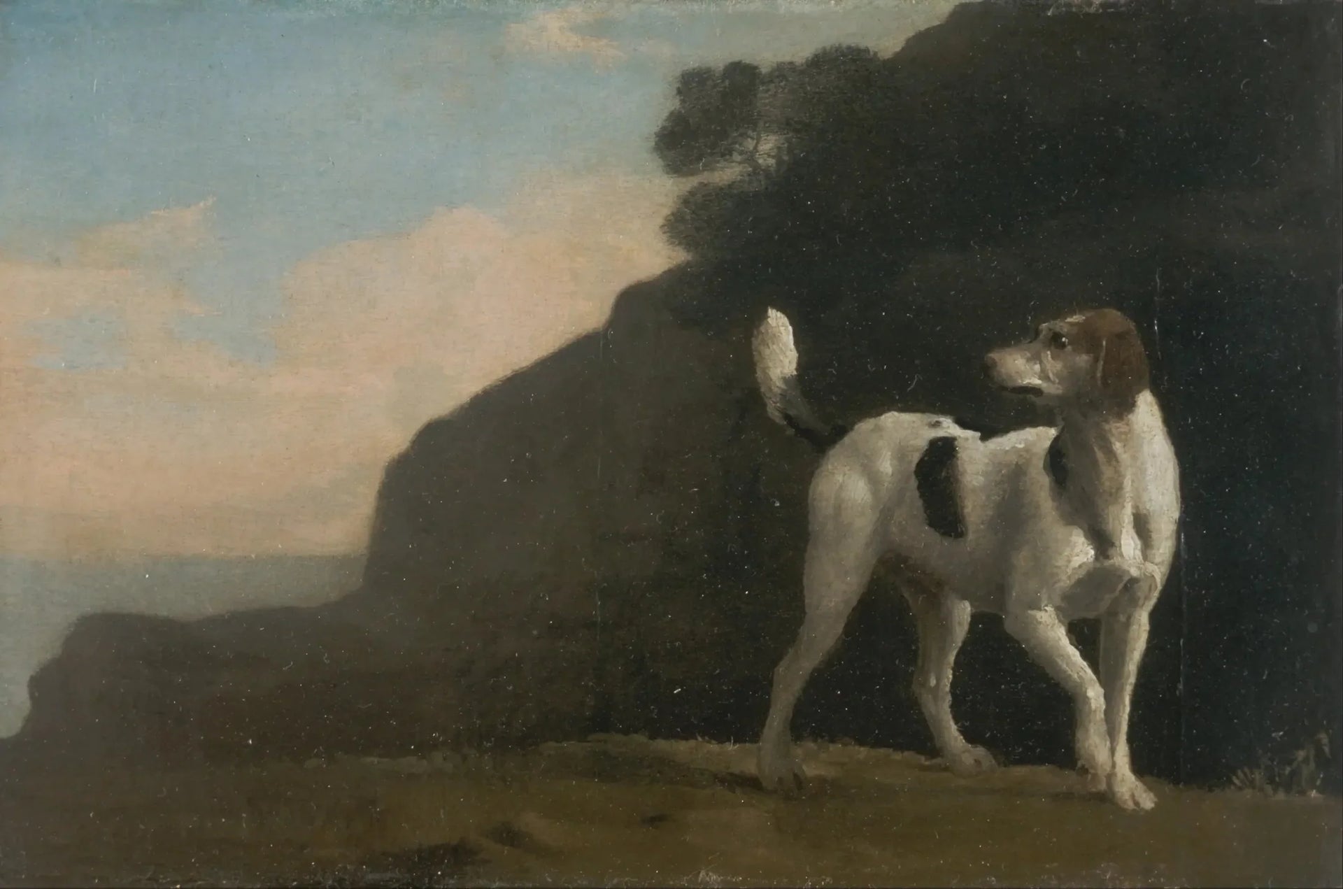 Chien courant - George Stubbs image 1 reproduction réalisée par Alpha Reproduction