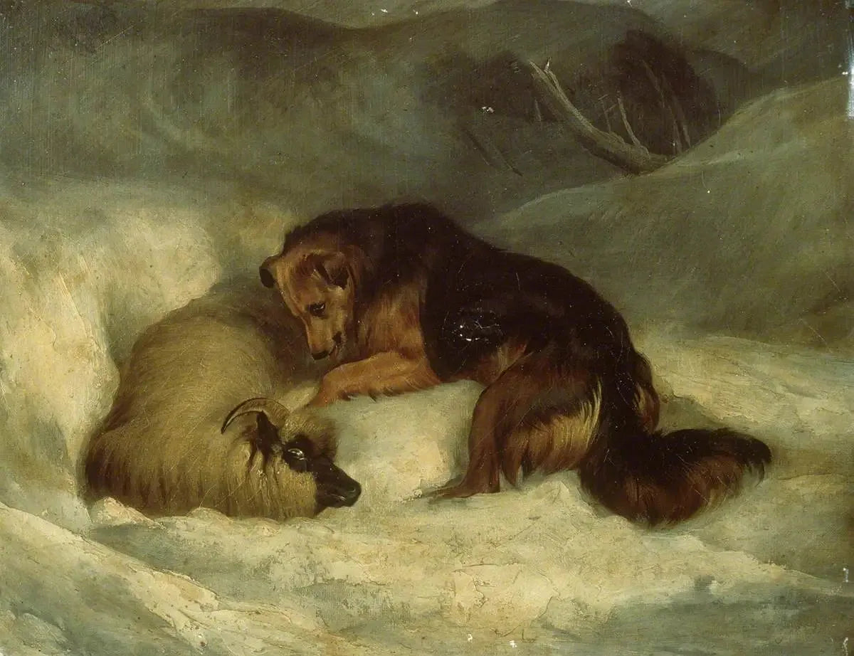 Chien de berger des Highlands dans la neige (anciennement connu sous le nom de « Chien de berger sauvant un bélier d'une congère ») - Edwin Henry Landseer image 1 copie de tableau peinte à la main