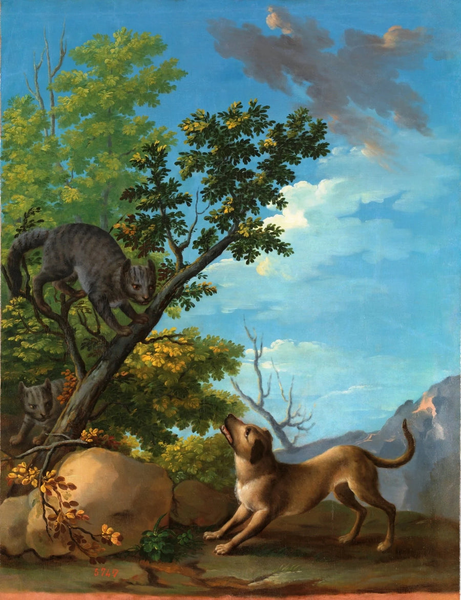 Chien et chats - Andrés Ginés de Aguirre