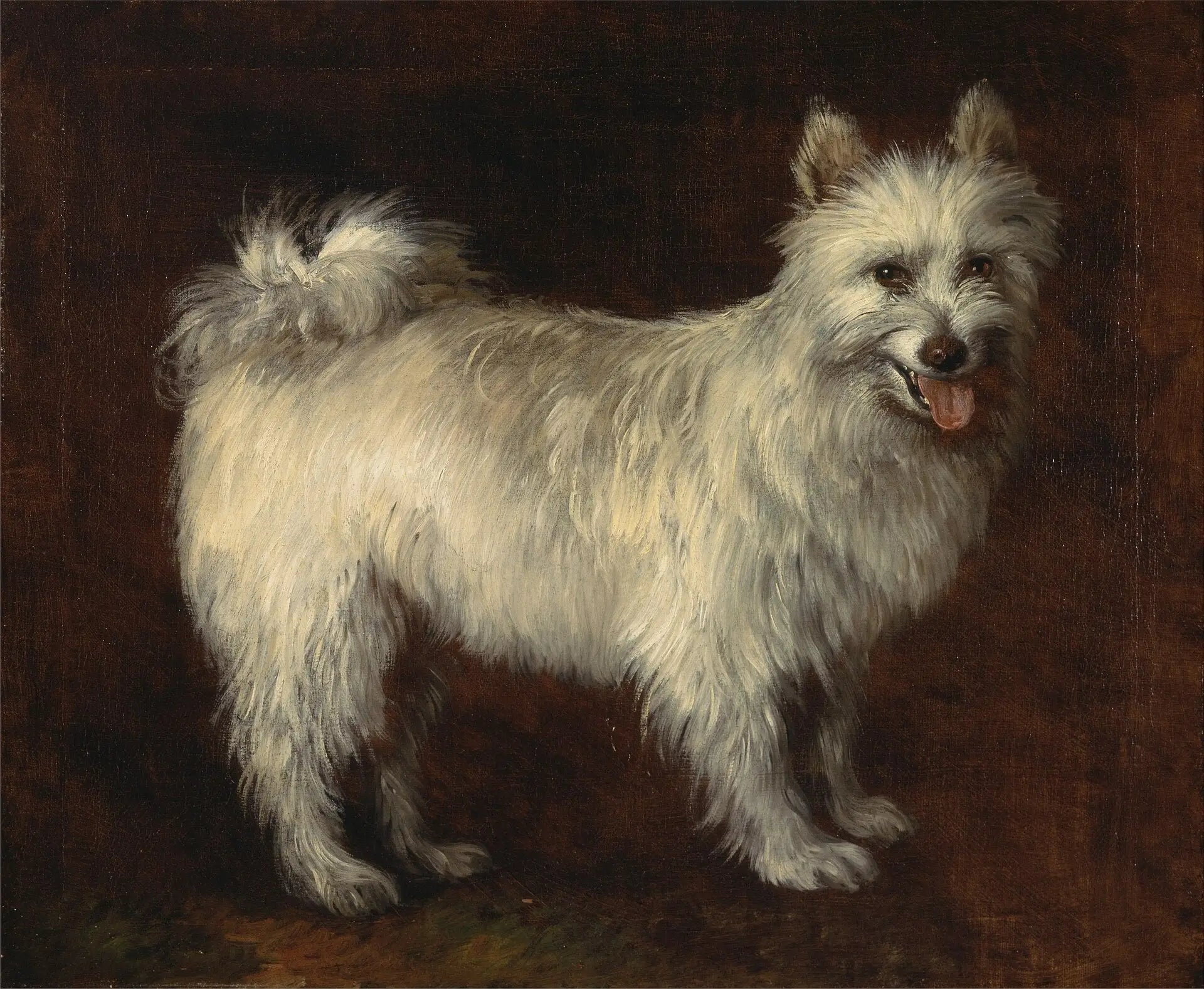 Chien Spitz - Thomas Gainsborough image 1 tableau peint à l’huile sur toile