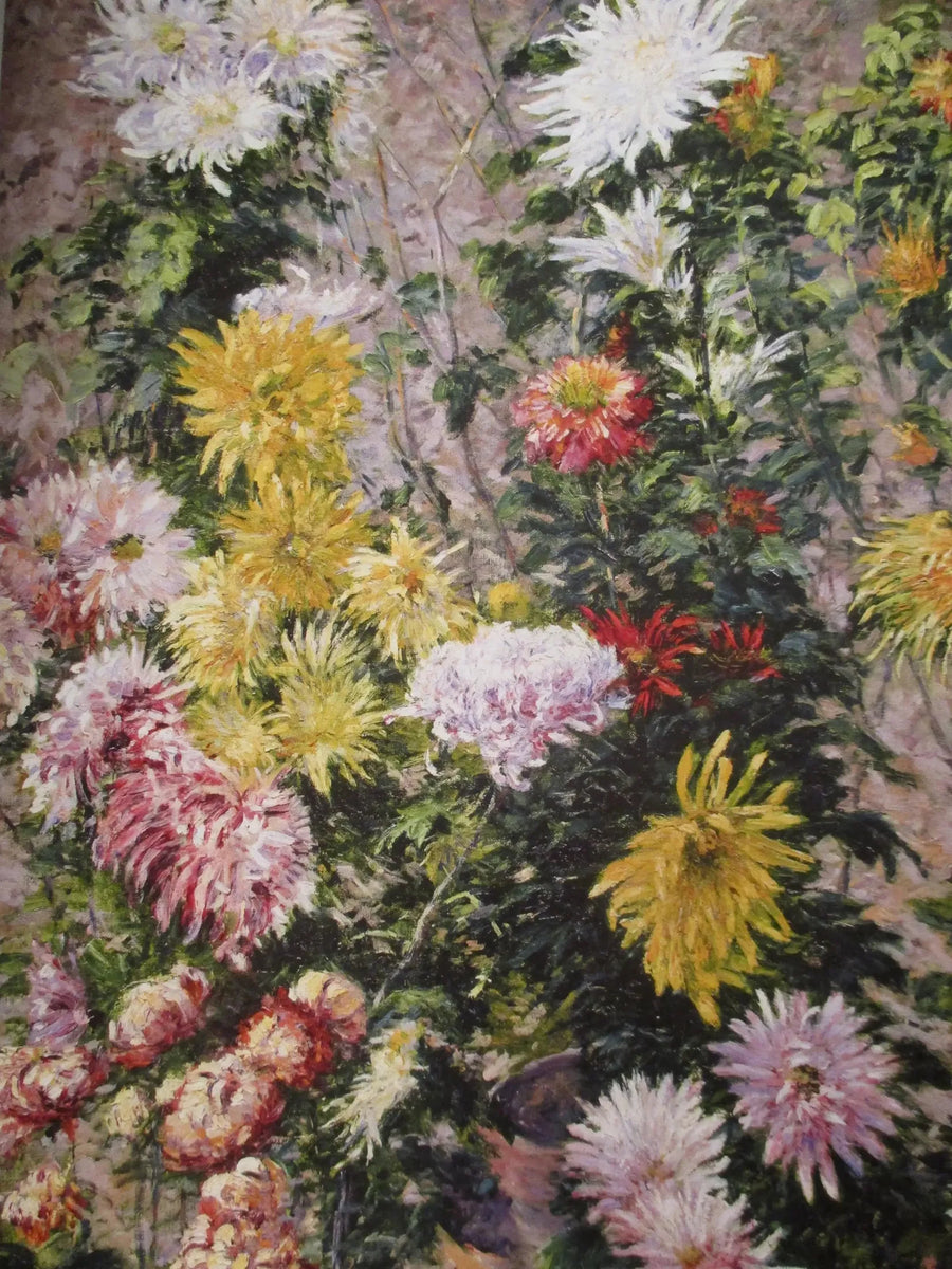 Chrysanthèmes blancs et jaunes. Jardin du Petit Gennevilliers - Gustave Caillebotte
