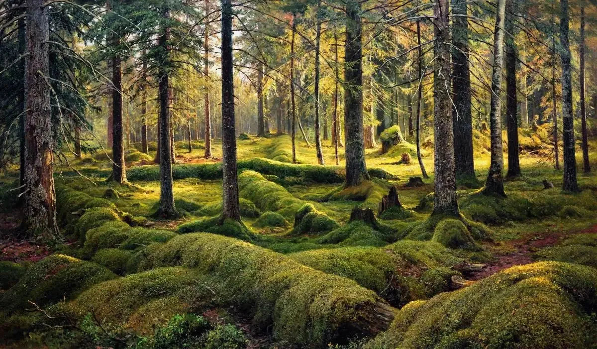 Cimetière Woodland - Ivan Chichkine image 1 reproduction d’œuvre d’art à l’huile