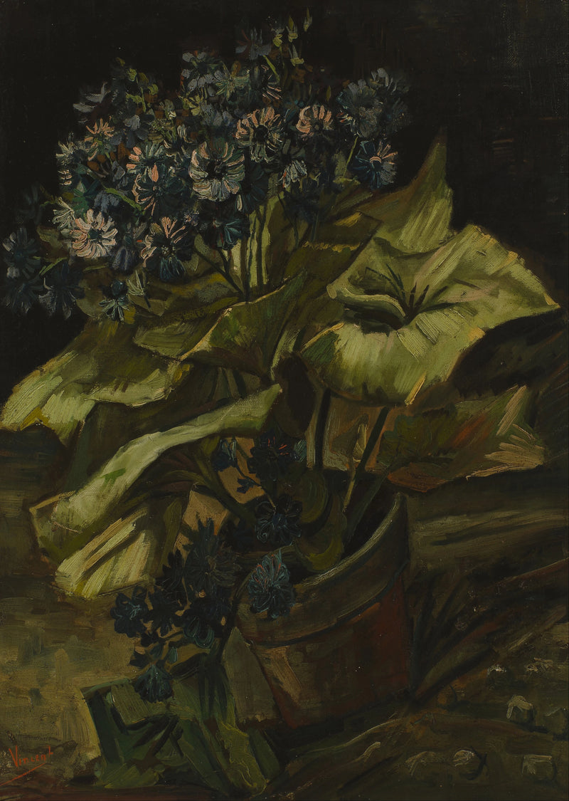Cinéraires dans un pot, F282 – Vincent van Gogh