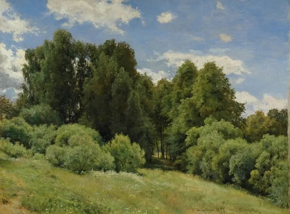 Clairière (Clairière de la forêt) - Ivan Chichkine image 1 copie peinte à la main à l’huile