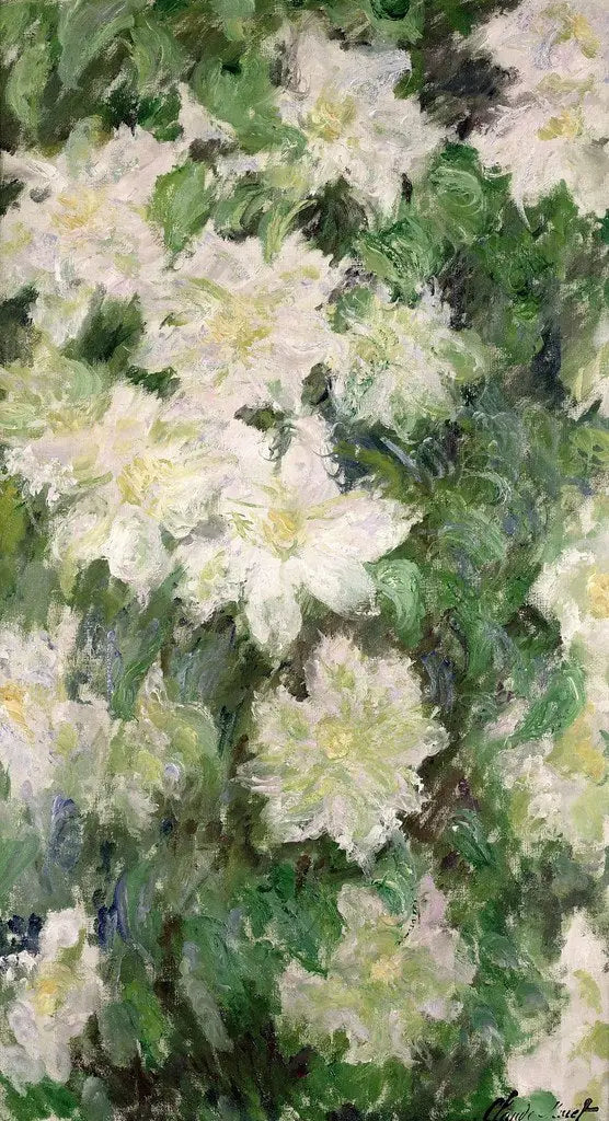 Clématites blanches - Claude Monet