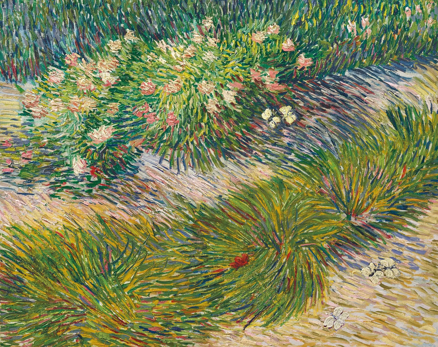 Coin de jardin avec papillons - Vincent van Gogh