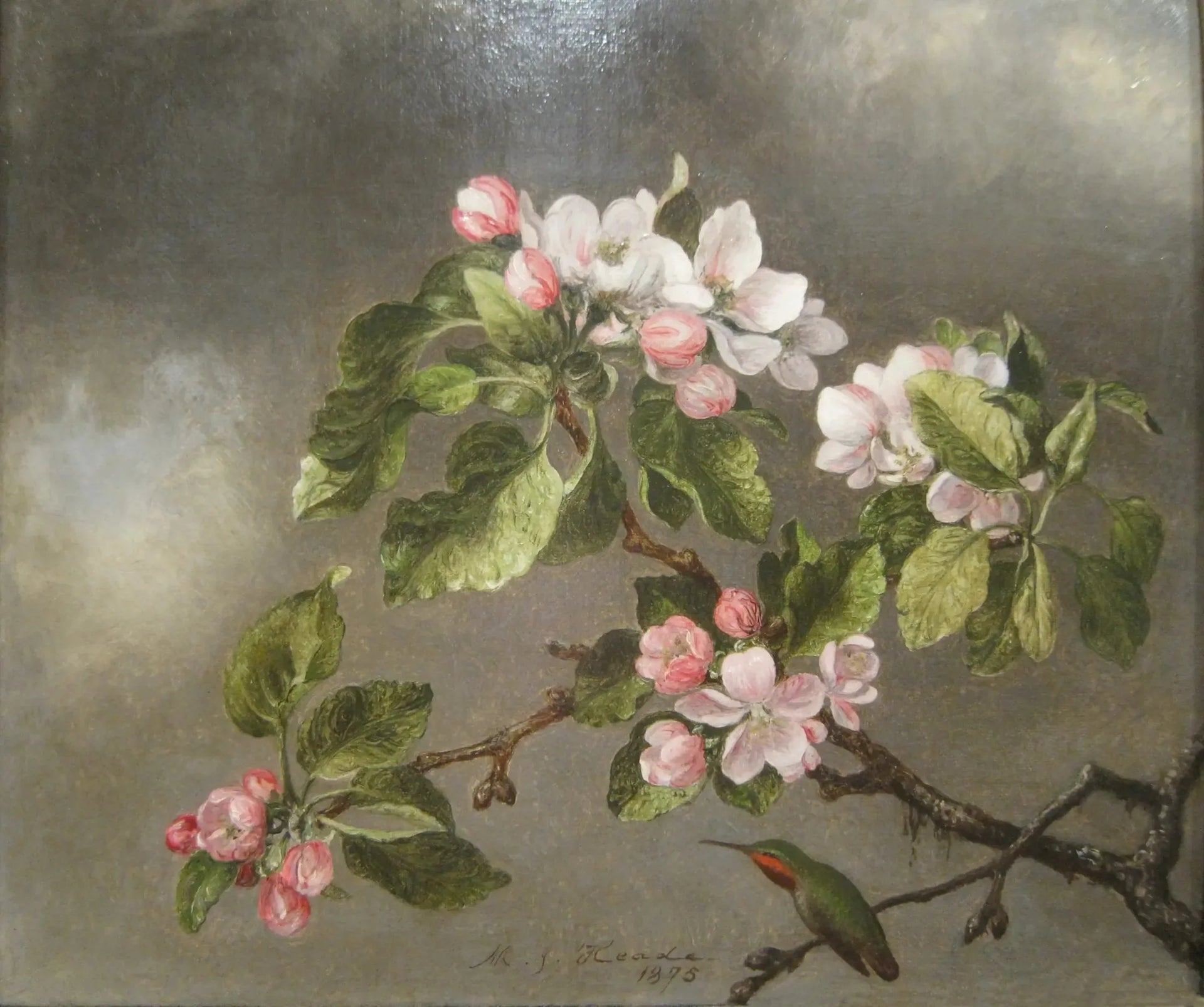 Colibri et fleurs de pommier - Martin Johnson Heade image 1 reproduction de peinture à l’huile