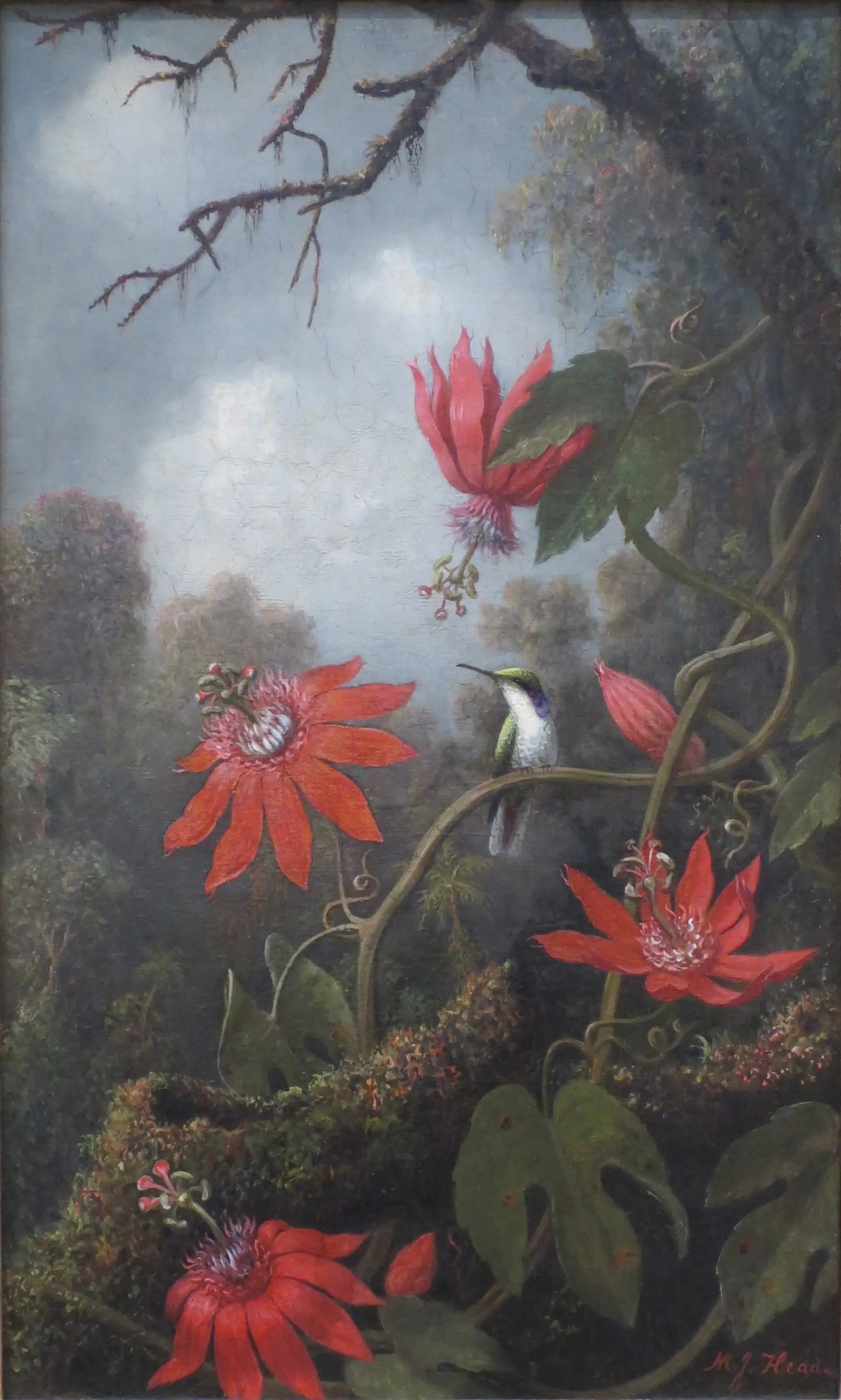 Colibri et passiflores - Martin Johnson Heade image 1 copie peinte à la main à l’huile