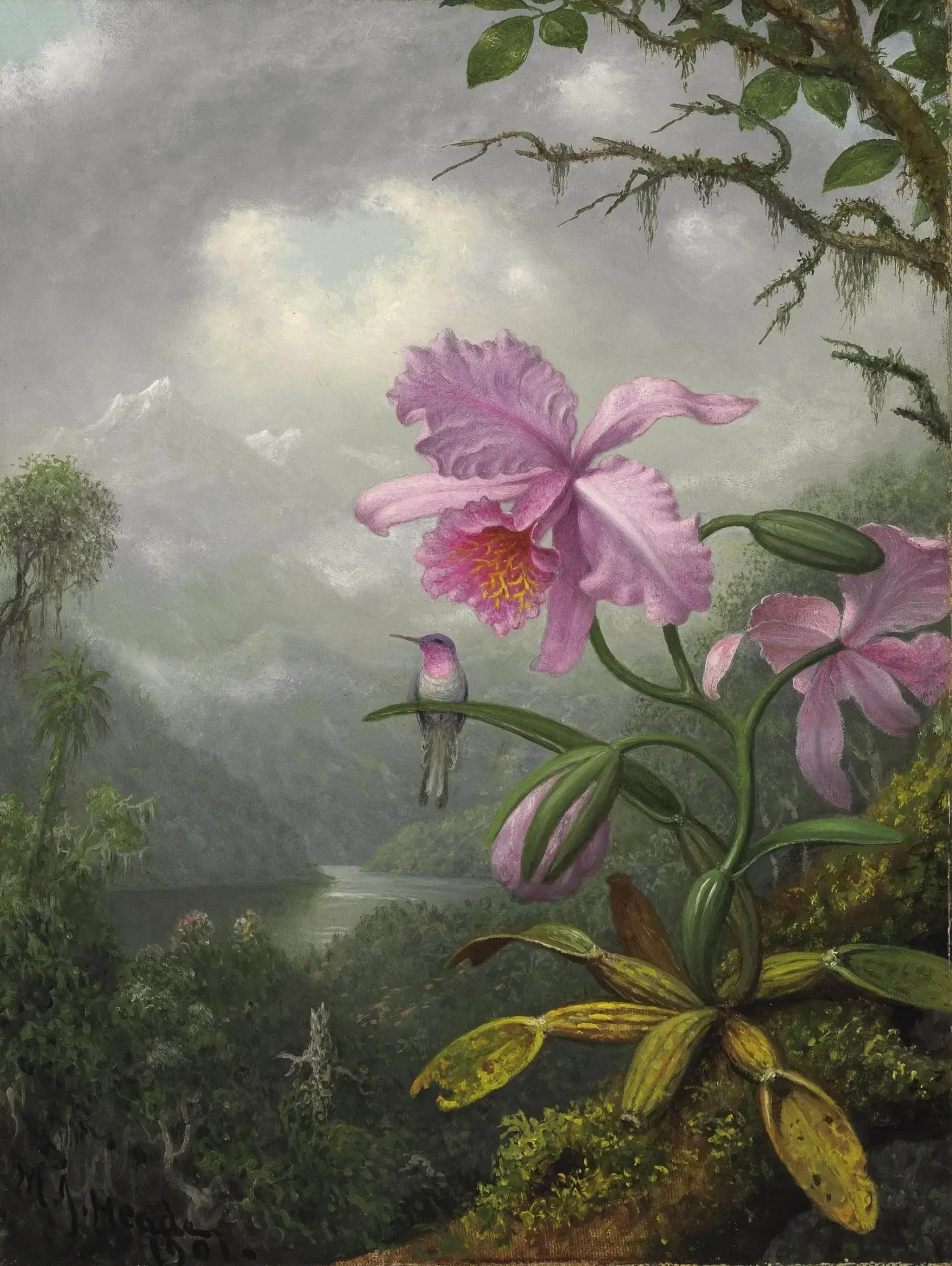 Colibri perché sur la plante d'orchidée - Martin Johnson Heade image 1 reproduction d’œuvre d’art à l’huile