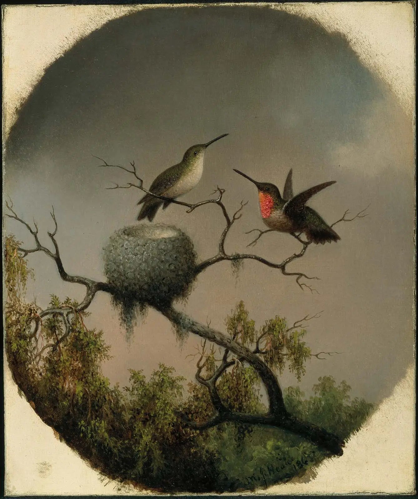 Colibris avec nid - Martin Johnson Heade image 1 copie de tableau peinte à la main