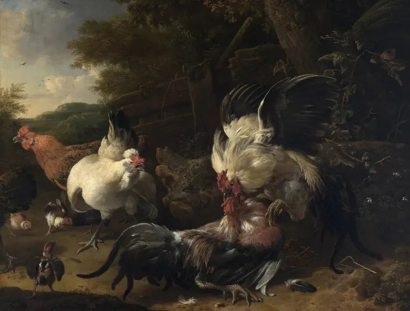 Combats de coqs - Melchior de Hondecoeter image 1 copie peinte à la main à l’huile