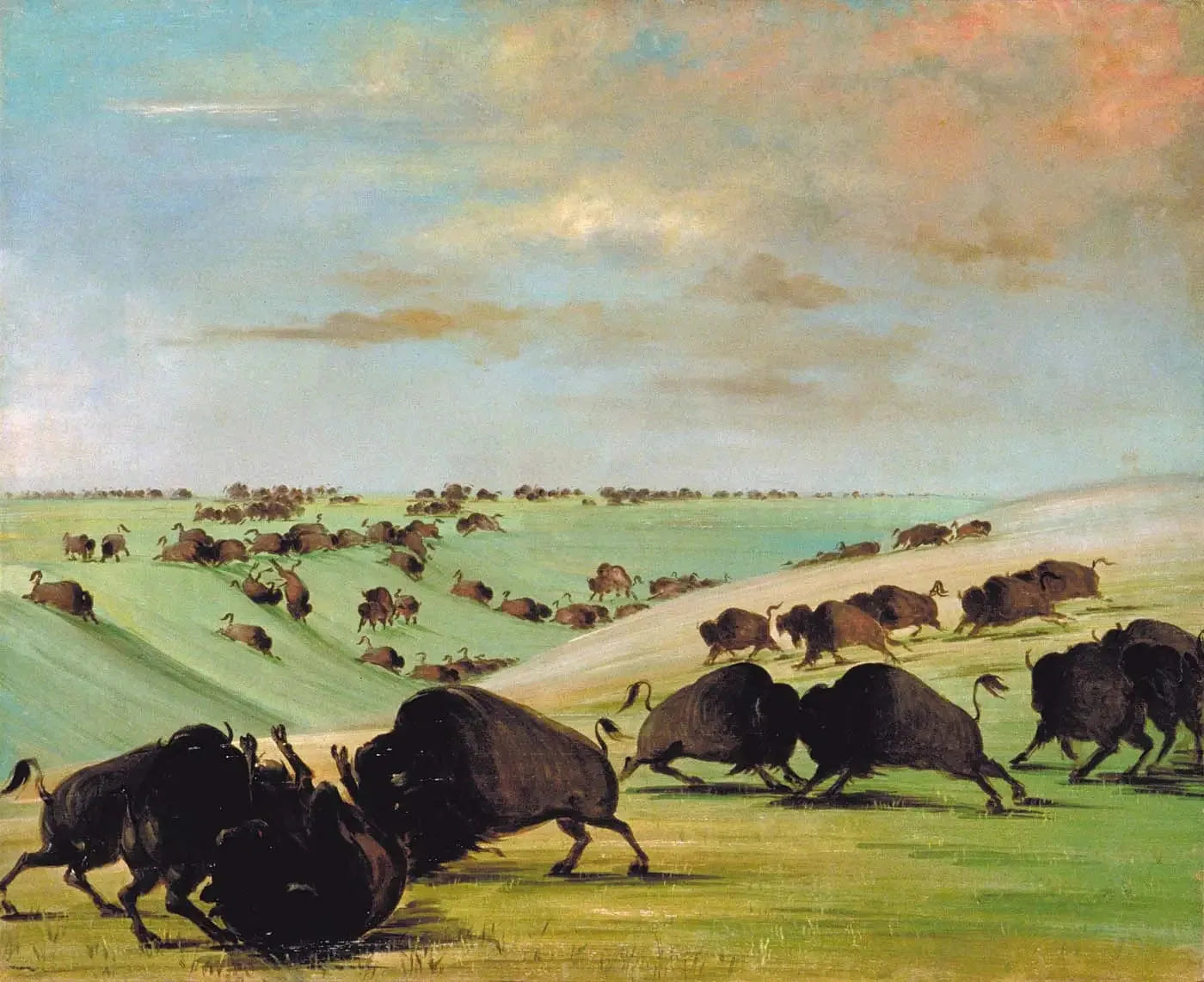 Combats de taureaux de buffle pendant la saison de course, Haut-Missouri - George Catlin image 1 tableau peint à l’huile sur toile