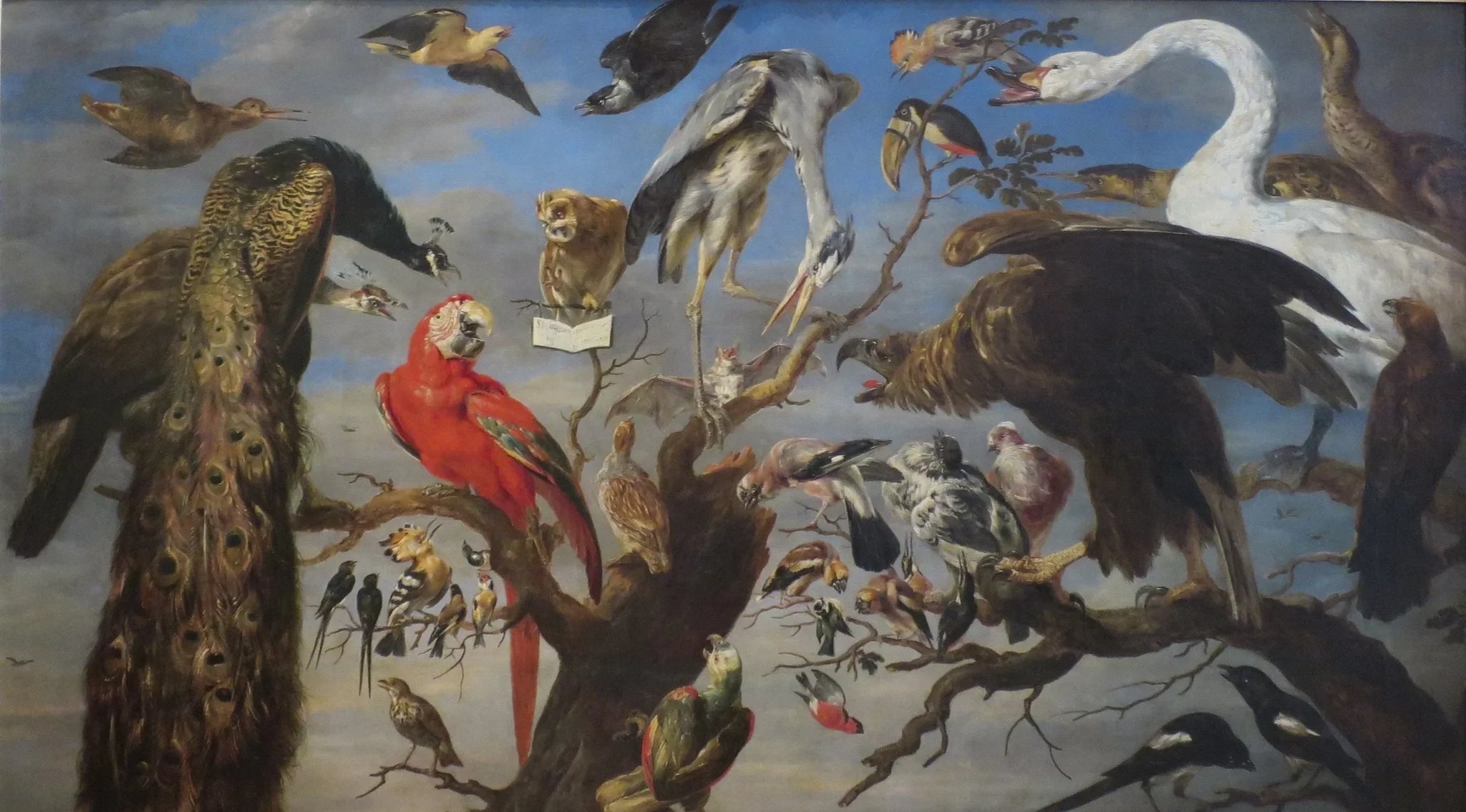 Concert des oiseaux - Frans Snyders image 1 reproduction de peinture à l’huile