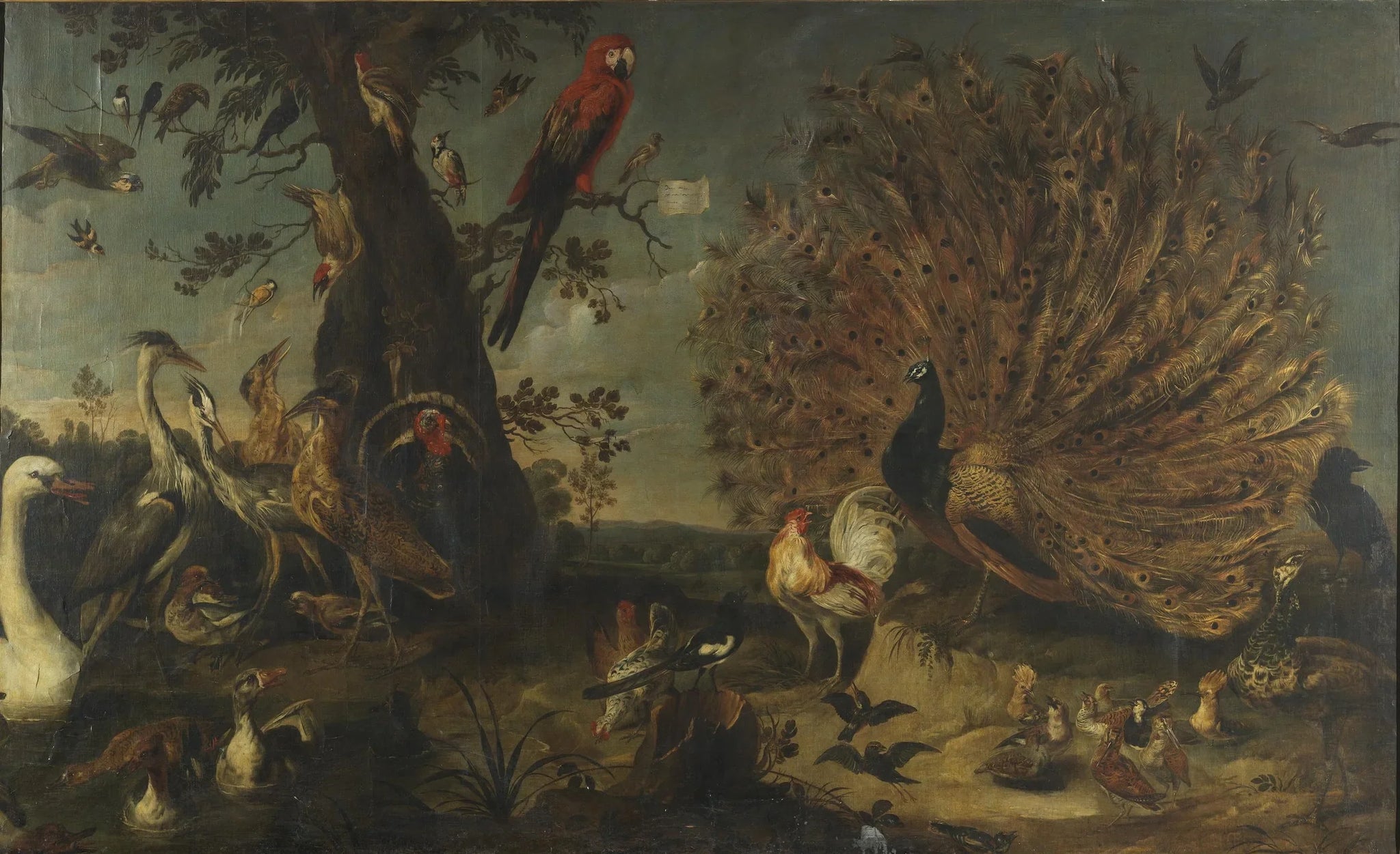 Concert of Birds - Frans Snyders image 1 reproduction de peinture à l’huile