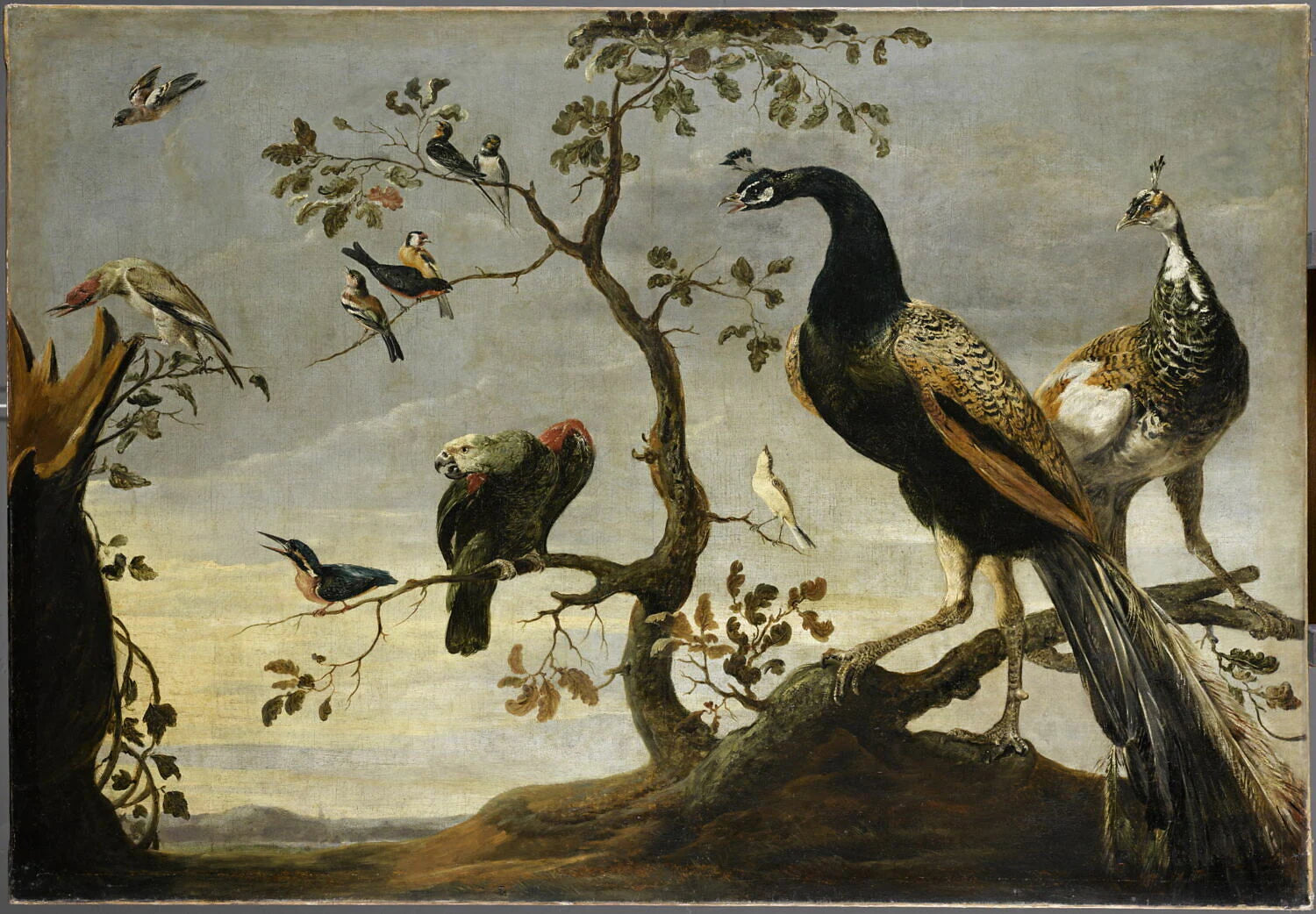 Concert d'oiseaux perchés sur des branches - Frans Snyders