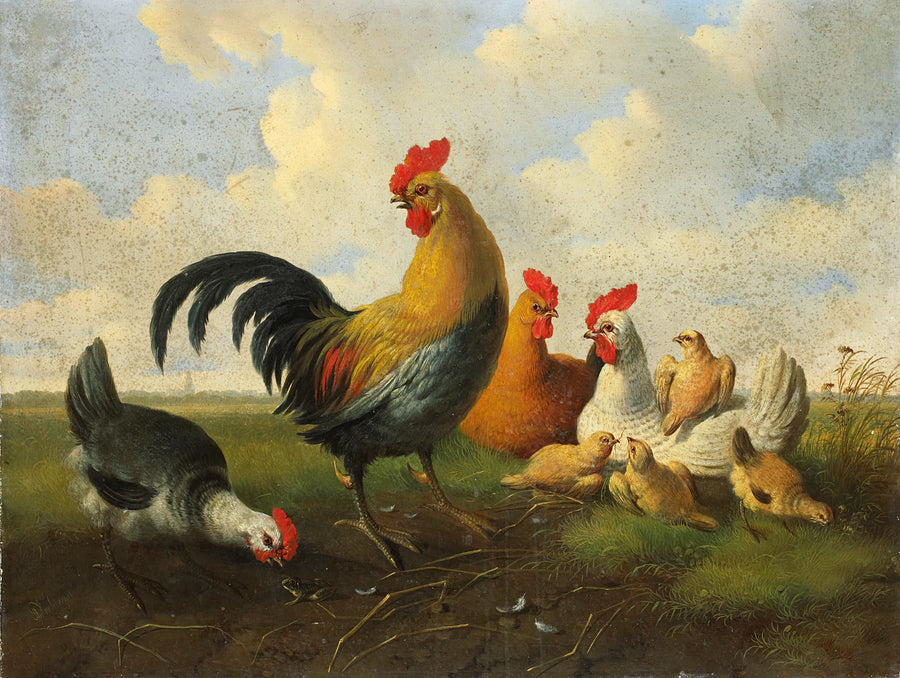 Un coq avec des poules et des poussins - Albertus Verhoesen