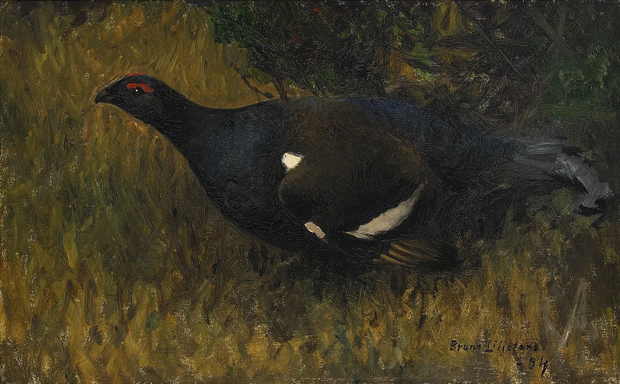 Coq de tétras lyre - Bruno Liljefors image 1 reproduction réalisée par Alpha Reproduction