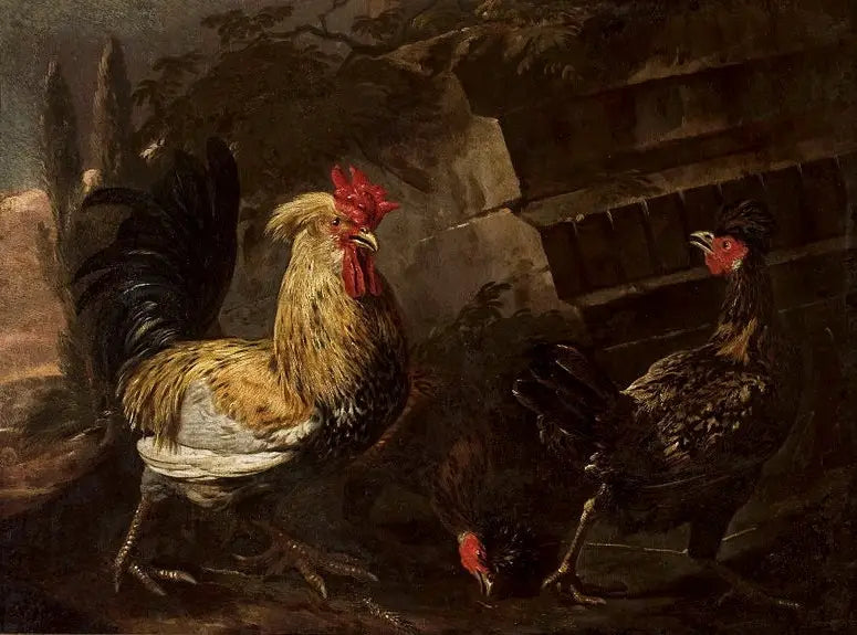 Coq et poules. - Melchior de Hondecoeter image 1 reproduction d’œuvre d’art à l’huile