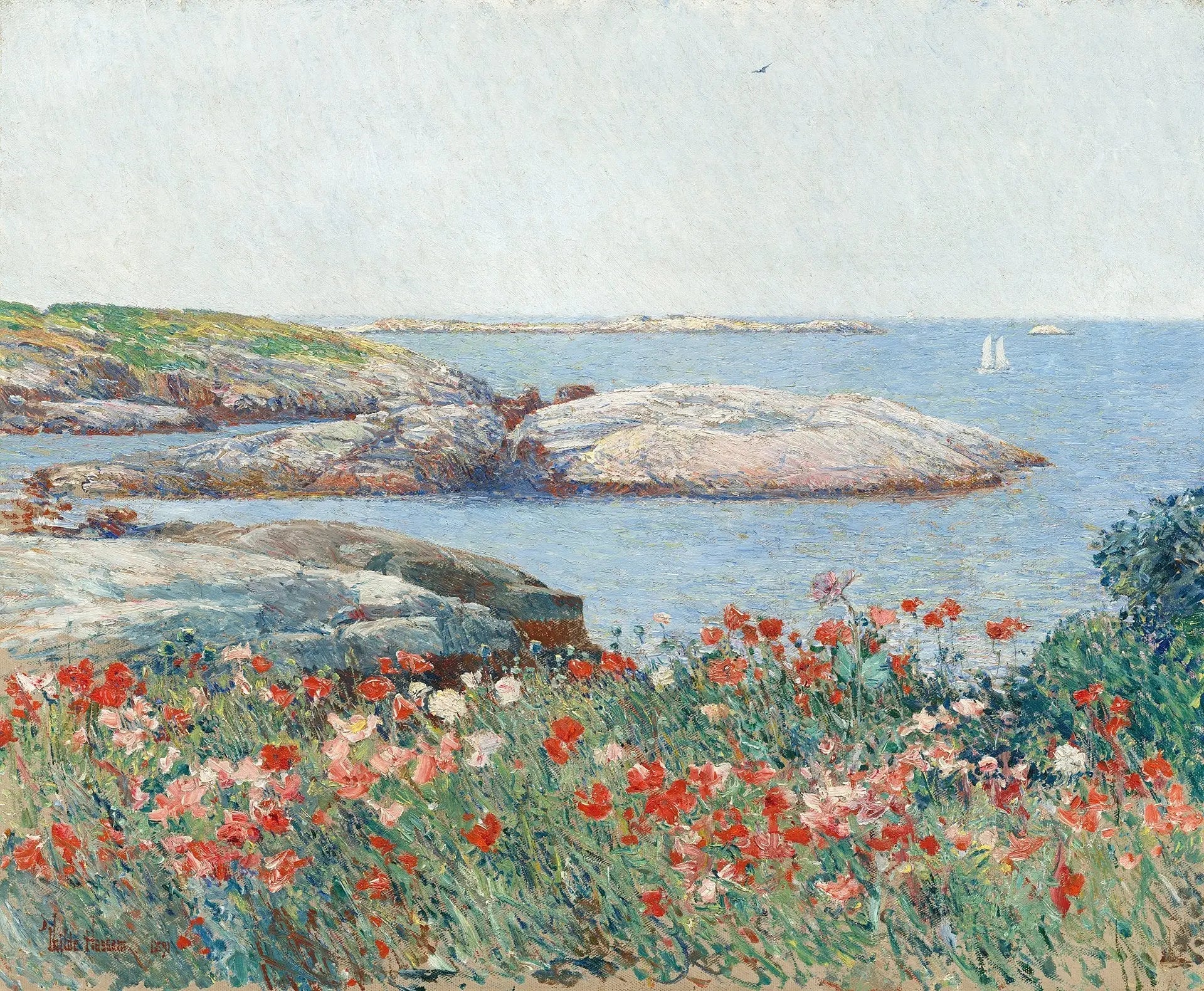 Coquelicots, Îles Shoals - Childe Hassam image 1 copie de tableau peinte à la main