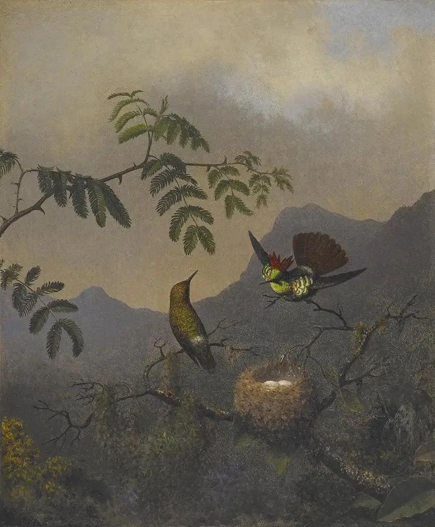 Coquette à volants - Martin Johnson Heade image 1 tableau peint à l’huile sur toile