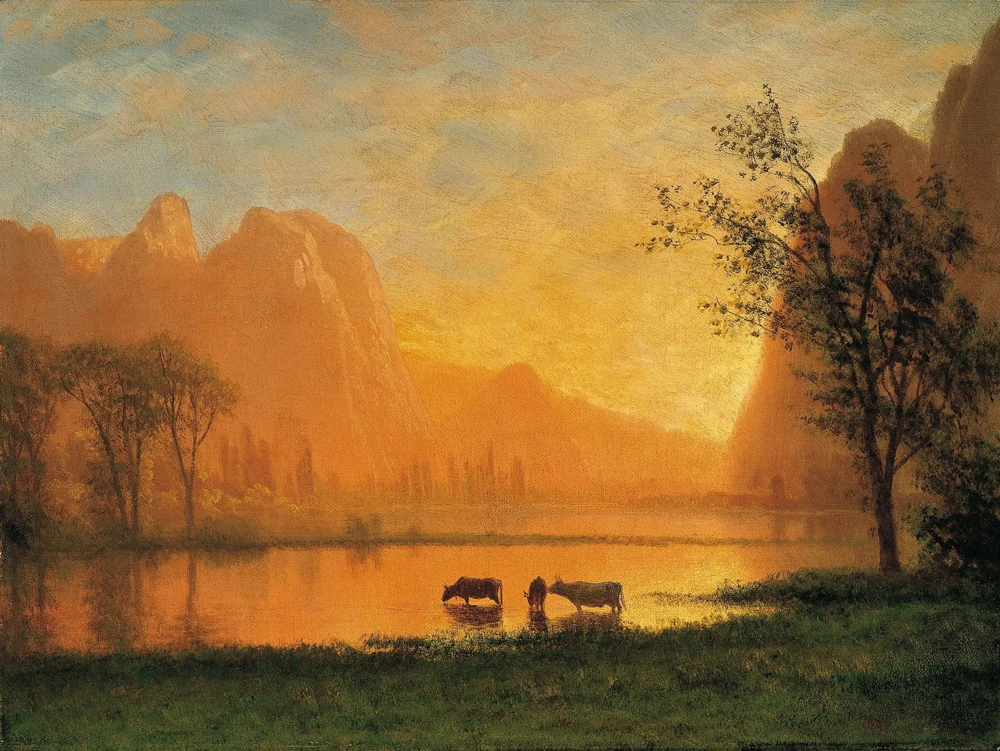 Coucher de soleil à Yosemite - Albert Bierstadt image 1 copie peinte à la main à l’huile