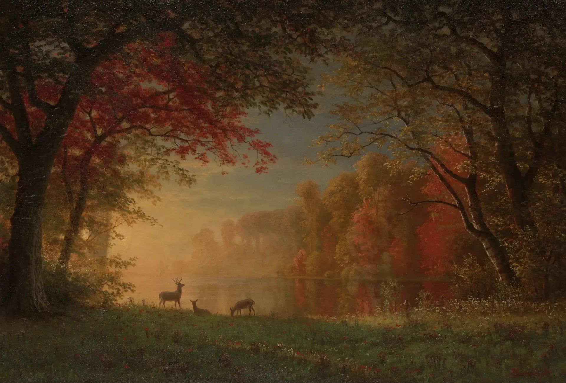 Coucher de soleil indien : cerf au bord d'un lac - Albert Bierstadt image 1 copie de tableau peinte à la main