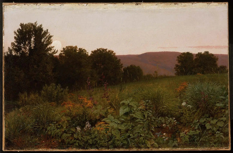 Coucher de soleil sur la prairie - William Trost Richards