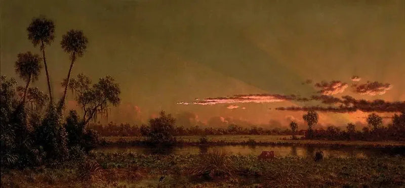 Coucher de soleil tropical : marais de Floride - Martin Johnson Heade
