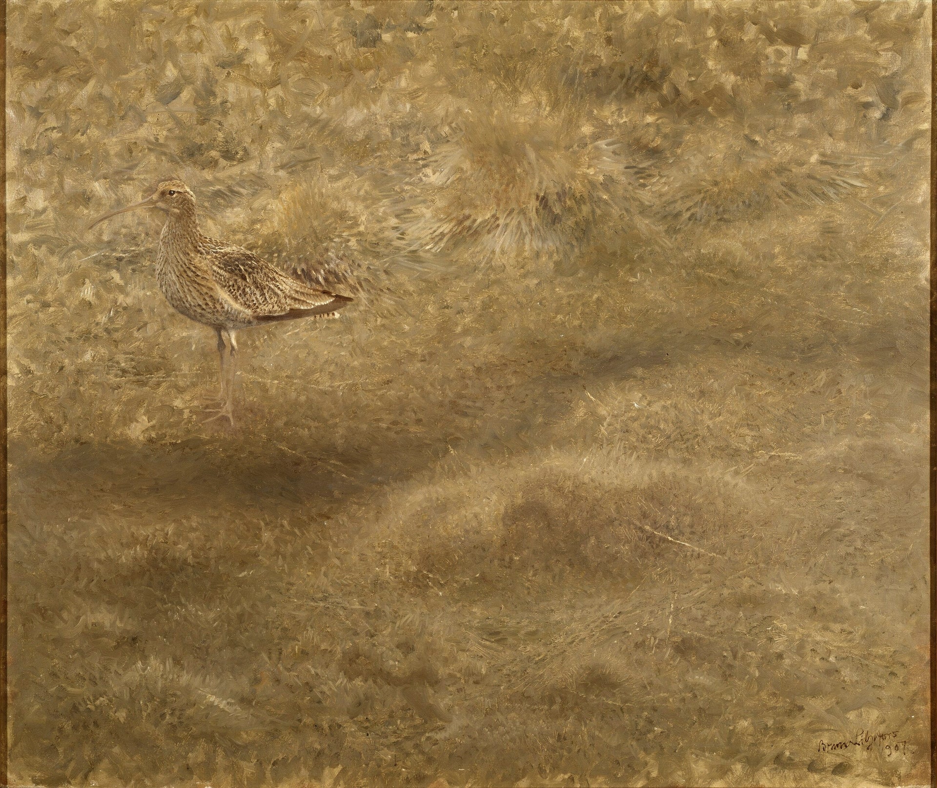 Courlis - Bruno Liljefors image 1 reproduction de peinture à l’huile