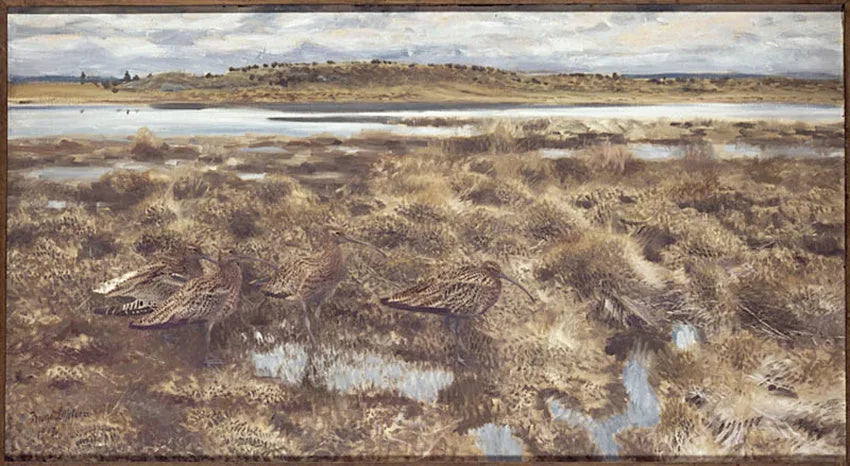 Courlis - Bruno Liljefors image 1 reproduction d’œuvre d’art à l’huile